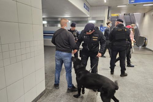 Noční policejní akce v Plzni zkontrolovala 688 lidí a odhalila opilého řidiče i alkohol u mladistvých