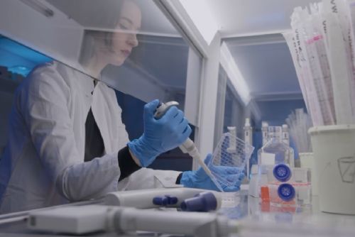 Rekordní zájem o Brno Ph.D. Talent: 193 přihlášek, o 42 více než loni. Stipendium 360 tisíc získá 25 doktorandů