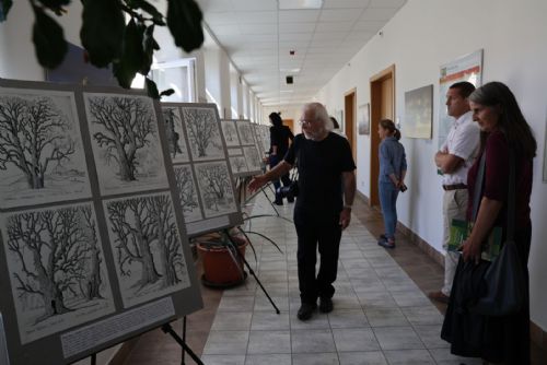 Plzeňský kraj vydal knihu o 450 památných stromech. Výstava kreseb je k vidění na krajském úřadě