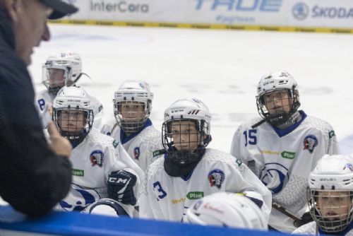 Plzeňské sportovní akademie získají od města dotace