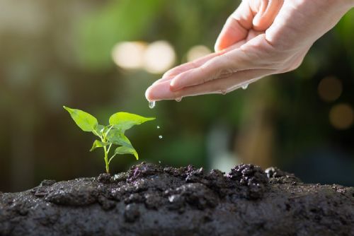 Sport i environmentální vzdělávání. Rada kraje schválila vyhlášení dotačních titulů