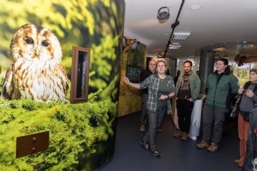 Kvilda ukazuje Šumavu nově. Oblíbené infocentrum má moderní expozici pro děti i dospělé