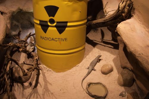 Obce u Horažďovic vzdorují radioaktivnímu průzkumu