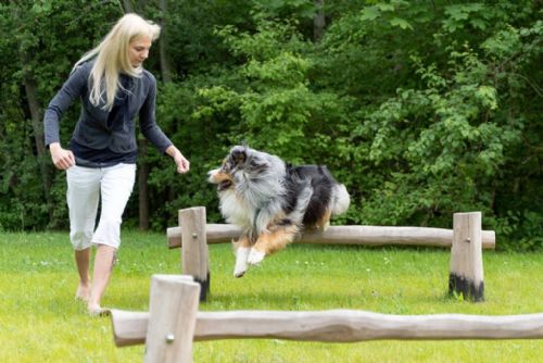 Park, hřiště nebo psí loučku? Plzeňáci hlasují o veřejném prostoru