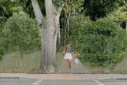 Park psychiatrické nemocnice v Havlíčkově Brodě čeká rozsáhlá obnova