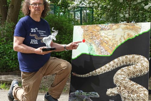 Plzeňská zoo slaví raritu, kterou nemá nikdo na světě. Uspěla se zmijí pavoučí