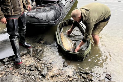 Policie odhalila přestupky při kontrole rybářů na Hracholuské přehradě