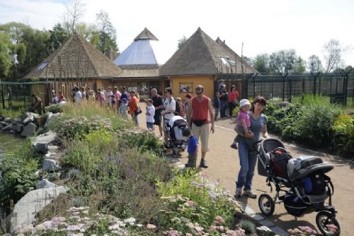 Sto let Zoo Plzeň, podívejte se na kalendář oslav a akcí pro rok 2026