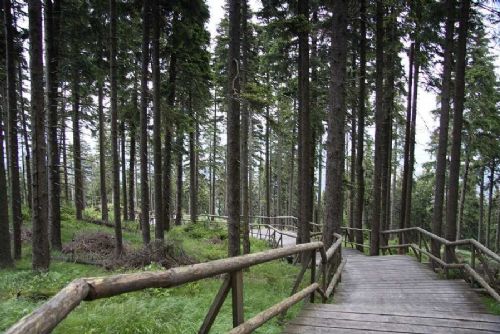 Šumava upravuje rozpočet: zanikne asi 15 míst, část péče může být dočasně omezená