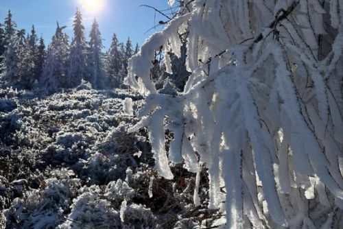 VLS varují, námraza láme stromy v okolí vojenského újezdu Hradiště