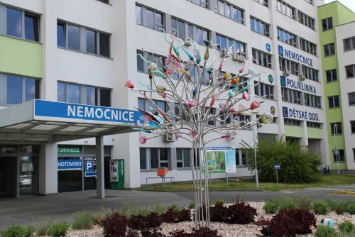 Nemocnice v České Lípě láká mladé lékaře na relax u koupaliště a pivní zážitky