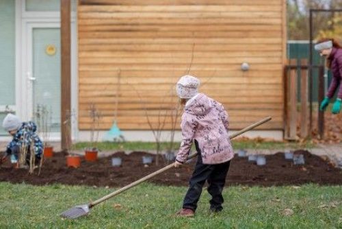 500 tisíc na zelenou střechu školky