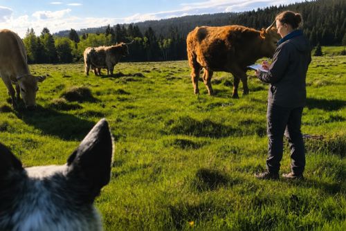 ČSÚ na podzim osloví stovky farmářů v Plzeňském kraji. Výběr zasáhne i menší hospodáře