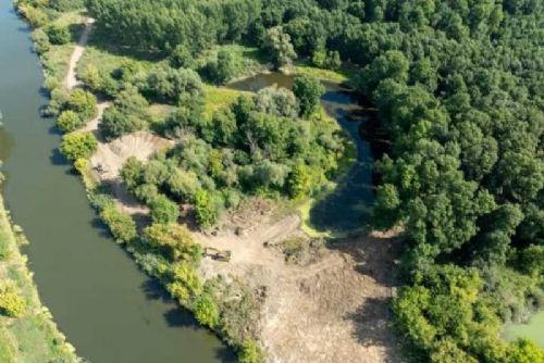 Dyje se prodlouží o 1 km: projekt proti suchu a pro biodiverzitu na česko-rakouské hranici