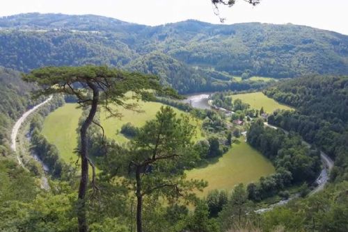 Hraběcí stolek nad Svratkou: oblíbená vyhlídka v krajině nové rezervace