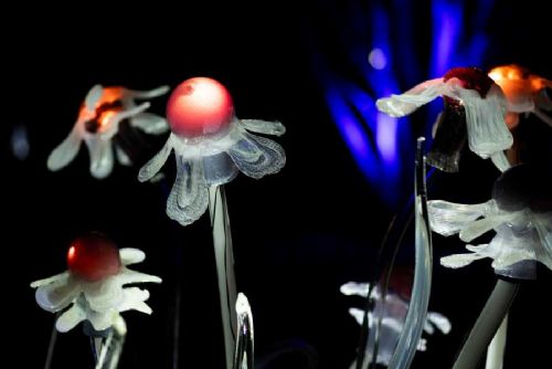 Křišťálová zahrada v Troji znovu ožívá: skleněné instalace rozšiřují zimní expozici