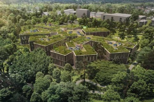 Lesy ČR: Nové sídlo v Hradci za 1,5 miliardy, start 2027