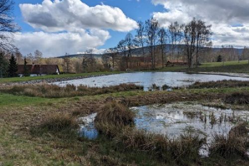 Nové biocentrum Šibanov - oáza přírody a rekreace na Domažlicku
