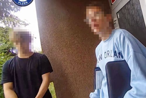 Obcházeli byty a chtěli kontrolovat okna. Strážníci v Plzni zasáhli kvůli podomnímu prodeji