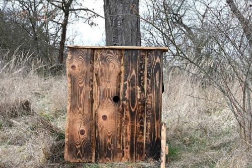 Písecko má nové hnízdiště pro ohroženého dudka chocholatého