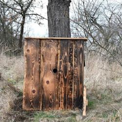 Písecko má nové hnízdiště pro ohroženého dudka chocholatého