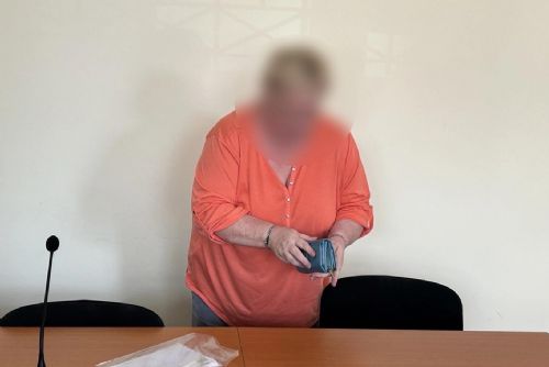 Podvodníci ji připravili o všechno, pak sáhla na synovy úspory. Dostala podmínku