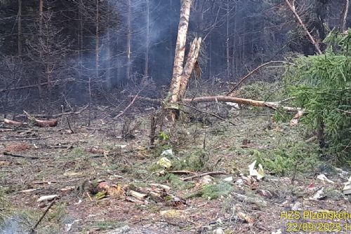 Tragédie na Plzeňsku - havarované letadlo zachvátil požár, pilot zemřel
