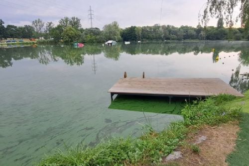 V Praze platí zákaz koupání na Džbánu. Orientační test s PET lahví odhalí sinice během 20 minut