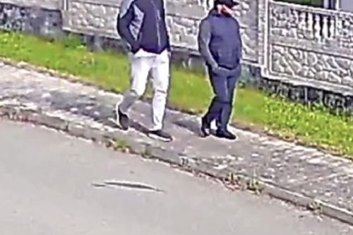 V Třemošné ukradli šperky za 56 tisíc, policie hledá svědky