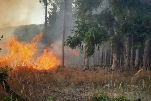 Vedro a sucho zvyšují na Šumavě riziko požárů. Platí přísná pravidla pro oheň i kouření