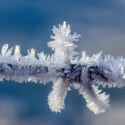 Dnes padly rekordní mrazy na Šumavě, Kvilda překonala historické minimum