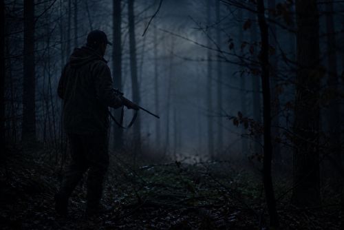 Myslivec na Tachovsku mířil na lišku, postřelil hledače kovů. Teď je obviněný