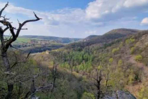 Napětí na Křivoklátsku: Obce odmítají 100milionovou nabídku na park