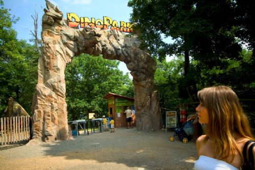 Plzeňská ZOO otevírá DinoPark a vrací do amfiteátru sokolnické ukázky