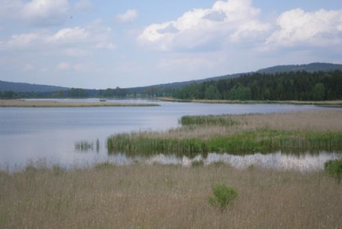 Přehrada Amerika v Brdech nejspíš nebude - chybí financování, podpora slábne