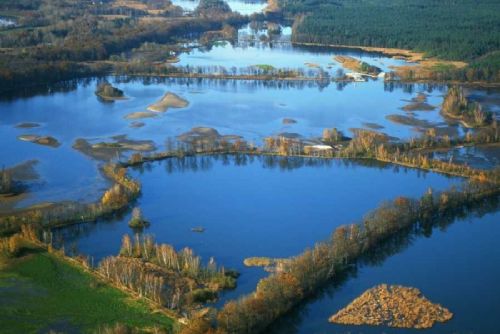 Třeboňské rybníky trápí největší jarní sucho za desítky let. Hladina klesla o více než pětinu