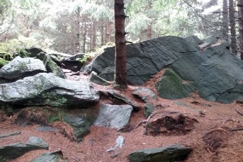 Dlouhá skála je novou rezervací v Českém lese. Chrání skalní hřeben i vzácné druhy