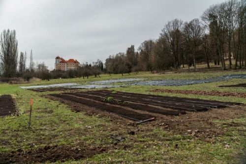 Hlasování o ekologických projektech: vítěz E.ON Energy Globe získá 500?000?Kč