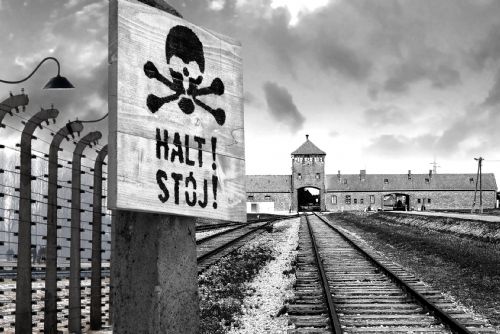 Jak si Česko připomíná holokaust? Výzkum mapuje stovky pomníků i „kameny zmizelých“