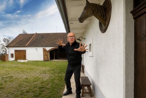 Muzea zdarma? Velký slib ministra kultury má v Plzeňském kraji velmi skromný dopad