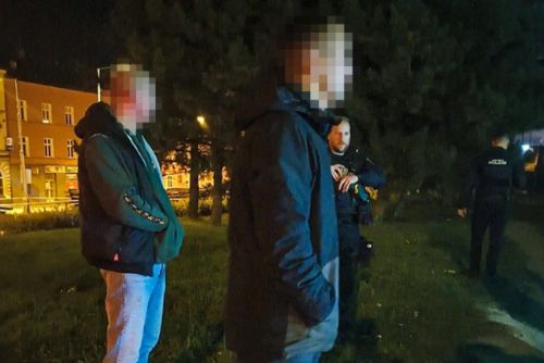 Noční rvačku v Plzni ukončil až policejní taser