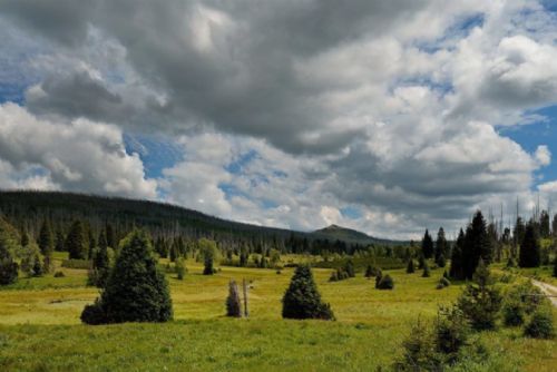 Plzeňský kraj patří mezi nejzelenější regiony Česka. V lesích je druhý v republice
