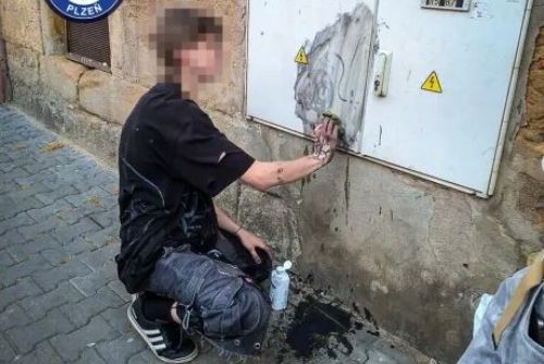 Pouliční umění mu dlouho nevydrželo. Mladík musel kresbu z rozvodné skříně odstranit