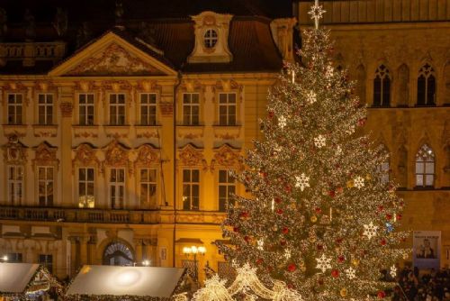 Praha hledá vánoční strom pro Staroměstské náměstí. Tipy mohou lidé posílat do 15. září