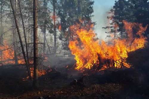 Pražští hasiči řešili v létě 84 požárů porostů. V Česku jich bylo přes 1 600