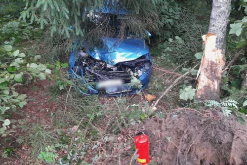 Škoda Octavia narazila do stromu mezi Dobrou Vodou a Hartmanicemi