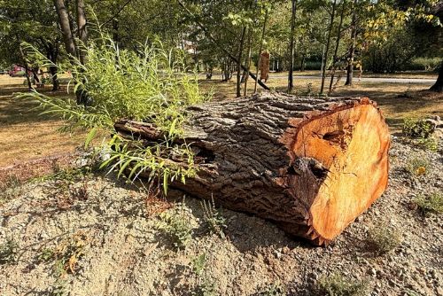 Skvrňany dostaly ekopark v Lábkově ulici. Hřiště i naučné prvky a úkryty pro hmyz a ptáky