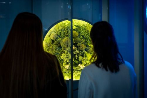 Zelená Techmania startuje environmentální program s tématem mokřady