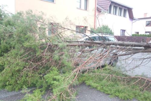 Bouřky v Královéhradeckém kraji: spadlé stromy, zatopení a evakuace 49 dětí