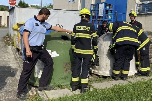 Koťata vhozená do kontejneru zachránila náhoda a lidskost